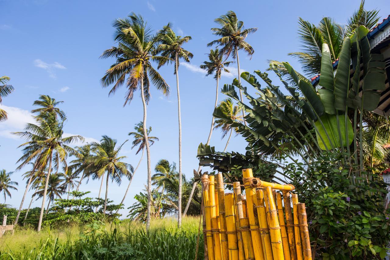 Neptune Story Resort Weligama Extérieur photo