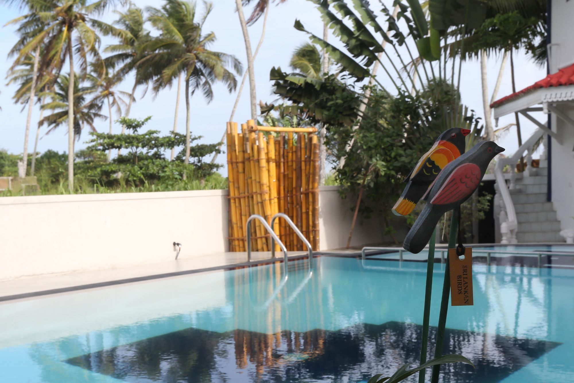 Neptune Story Resort Weligama Extérieur photo